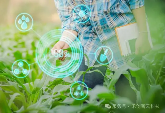 禾创智云 | 数字技术赋能现代化农业全产业链，提质增效带动乡村全面振兴